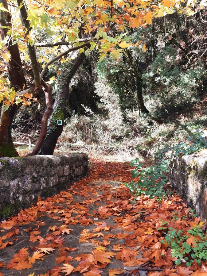 Agropoli Ξενοδοχείο Nimfasía Εξωτερικό φωτογραφία