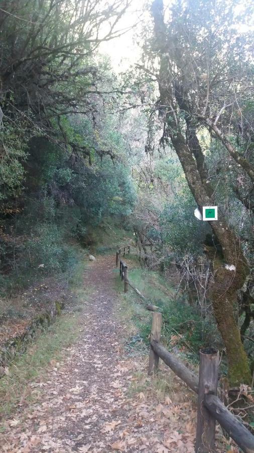 Agropoli Ξενοδοχείο Nimfasía Εξωτερικό φωτογραφία