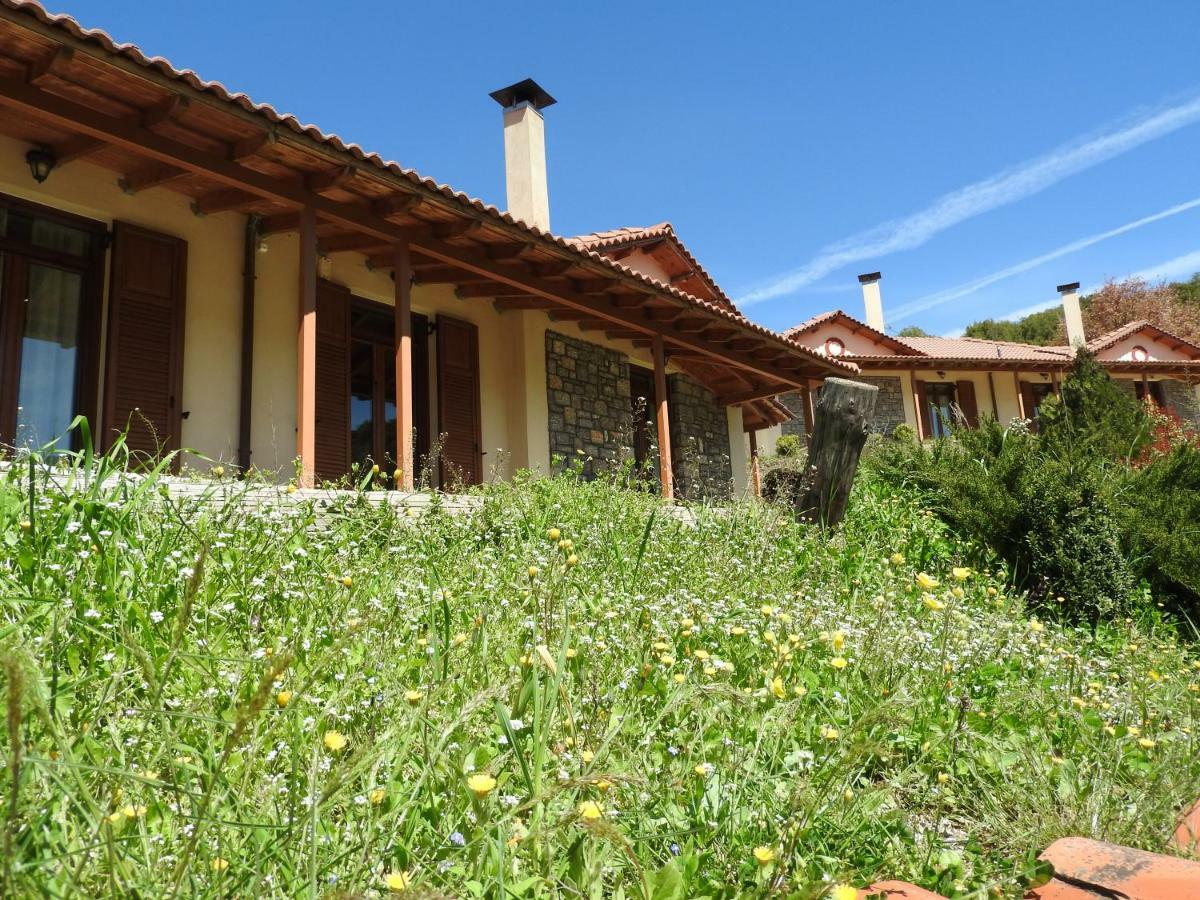 Agropoli Ξενοδοχείο Nimfasía Εξωτερικό φωτογραφία