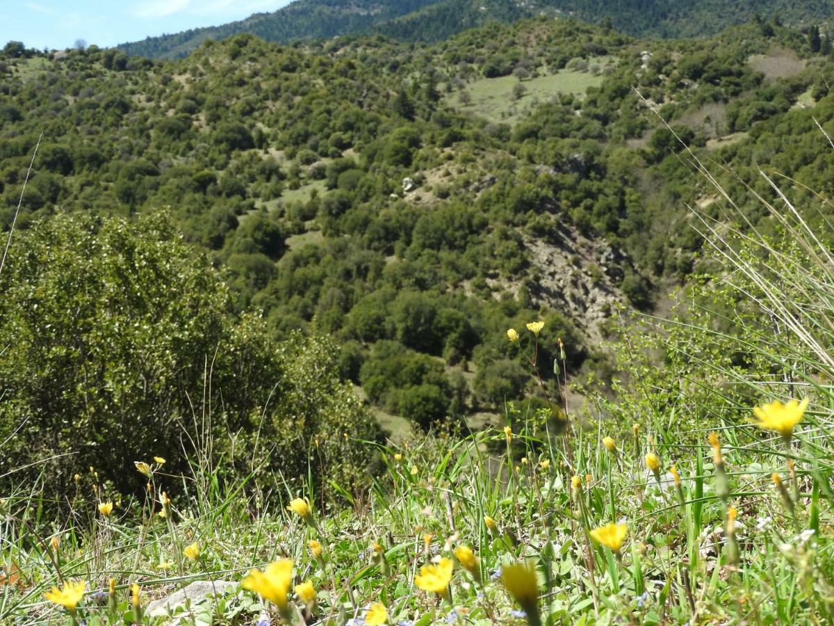 Agropoli Ξενοδοχείο Nimfasía Εξωτερικό φωτογραφία