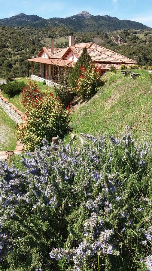 Agropoli Ξενοδοχείο Nimfasía Εξωτερικό φωτογραφία