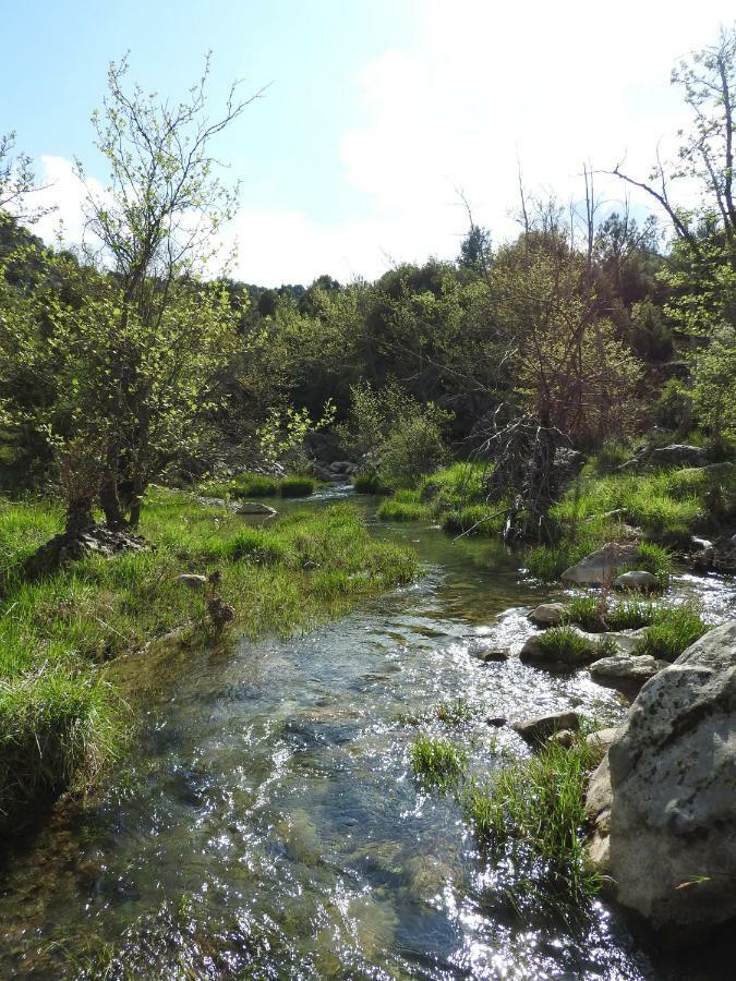 Agropoli Ξενοδοχείο Nimfasía Εξωτερικό φωτογραφία